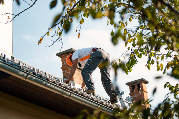Best 4 Ply Roofing  in Fobes Hill, WA