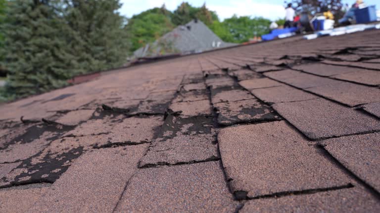 Fast & Reliable Emergency Roof Repairs in Placeholder8