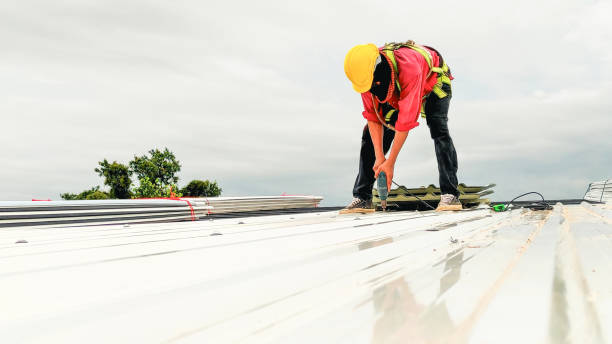 Asphalt Shingles Roofing in Fobes Hill, WA