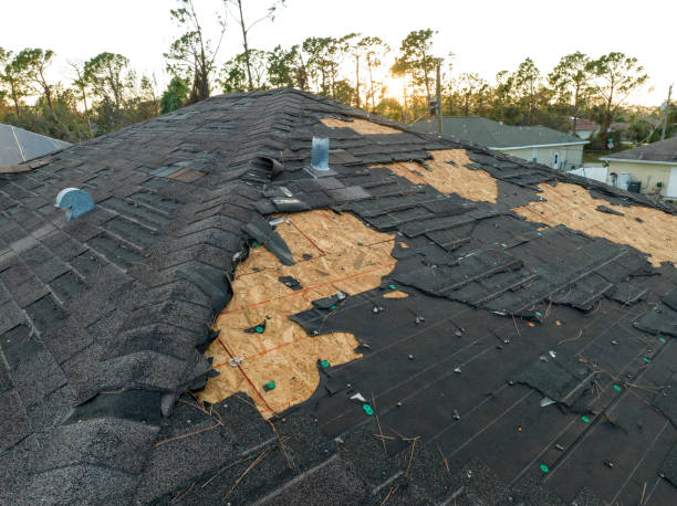 Best Wood Shake Roofing  in Fobes Hill, WA