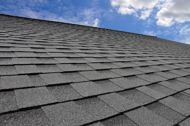 Best Roof Leak Repair  in Fobes Hill, WA