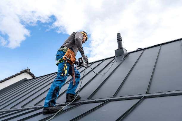 Best Steel Roofing  in Fobes Hill, WA